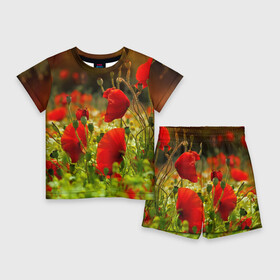 Детский костюм с шортами 3D с принтом Маки в Новосибирске,  |  | field | flowers | meadow | nature | poppies | poppy | red | summer | wild | красные | лето | луг | мак | маки | поле | полевые | природа | цветы
