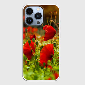 Чехол для iPhone 13 Pro с принтом Маки в Новосибирске,  |  | field | flowers | meadow | nature | poppies | poppy | red | summer | wild | красные | лето | луг | мак | маки | поле | полевые | природа | цветы