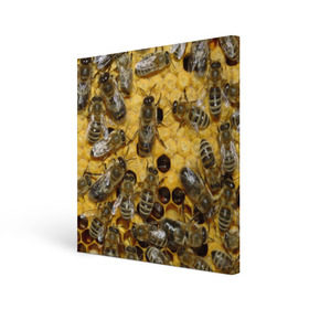 Холст квадратный с принтом Пчела в Новосибирске, 100% ПВХ |  | лето | мед | насекомые | оса | природа | пчелы | шмель