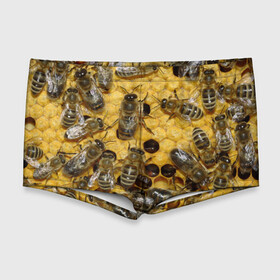 Мужские купальные плавки 3D с принтом Пчела в Новосибирске, Полиэстер 85%, Спандекс 15% |  | Тематика изображения на принте: лето | мед | насекомые | оса | природа | пчелы | шмель