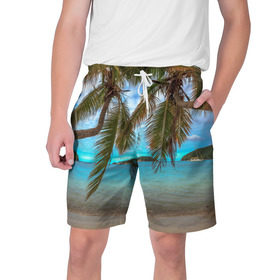Мужские шорты 3D с принтом Пальма в Новосибирске,  полиэстер 100% | прямой крой, два кармана без застежек по бокам. Мягкая трикотажная резинка на поясе, внутри которой широкие завязки. Длина чуть выше колен | Тематика изображения на принте: море | отдых | отпуск | пальмы | пляж | солнце | туризм