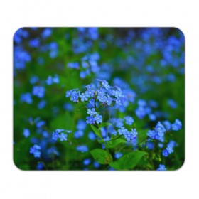 Коврик прямоугольный с принтом синие цветочки в Новосибирске, натуральный каучук | размер 230 х 185 мм; запечатка лицевой стороны | Тематика изображения на принте: 