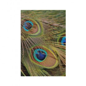 Обложка для паспорта матовая кожа с принтом перо павлина в Новосибирске, натуральная матовая кожа | размер 19,3 х 13,7 см; прозрачные пластиковые крепления | Тематика изображения на принте: павлин | перо | перышки | птица