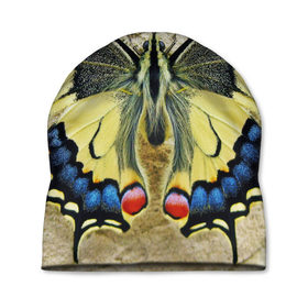Шапка 3D с принтом бабочка в Новосибирске, 100% полиэстер | универсальный размер, печать по всей поверхности изделия | бабочка | мотылек | насекомые