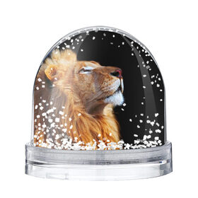 Снежный шар с принтом Лев в Новосибирске, Пластик | Изображение внутри шара печатается на глянцевой фотобумаге с двух сторон | lion | лев | хищник