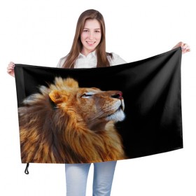 Флаг 3D с принтом Лев в Новосибирске, 100% полиэстер | плотность ткани — 95 г/м2, размер — 67 х 109 см. Принт наносится с одной стороны | lion | лев | хищник