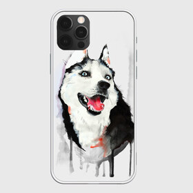 Чехол для iPhone 12 Pro Max с принтом Хаски в Новосибирске, Силикон |  | голова животного | кутёнок | прикольные картинки | собака | щенок