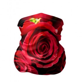 Бандана-труба 3D с принтом Розы в Новосибирске, 100% полиэстер, ткань с особыми свойствами — Activecool | плотность 150‒180 г/м2; хорошо тянется, но сохраняет форму | красный | лепестки | прикольные картинки | розы | цветочки | цветы