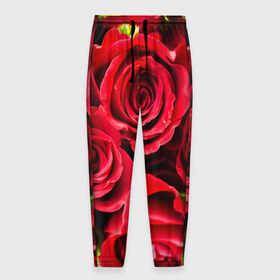 Мужские брюки 3D с принтом Розы в Новосибирске, 100% полиэстер | манжеты по низу, эластичный пояс регулируется шнурком, по бокам два кармана без застежек, внутренняя часть кармана из мелкой сетки | красный | лепестки | прикольные картинки | розы | цветочки | цветы
