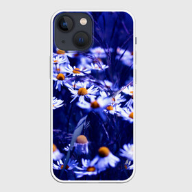 Чехол для iPhone 13 mini с принтом Ромашки в Новосибирске,  |  | лепестки | прикольные картинки | ромашки | цветочки | цветы