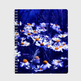 Тетрадь с принтом Ромашки в Новосибирске, 100% бумага | 48 листов, плотность листов — 60 г/м2, плотность картонной обложки — 250 г/м2. Листы скреплены сбоку удобной пружинной спиралью. Уголки страниц и обложки скругленные. Цвет линий — светло-серый
 | лепестки | прикольные картинки | ромашки | цветочки | цветы