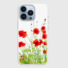 Чехол для iPhone 13 Pro с принтом Маки в Новосибирске,  |  | field | flowers | meadow | nature | poppies | poppy | red | summer | wild | красные | лето | луг | мак | маки | поле | полевые | природа | цветы