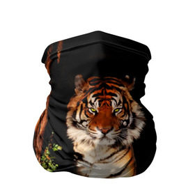 Бандана-труба 3D с принтом Тигр в Новосибирске, 100% полиэстер, ткань с особыми свойствами — Activecool | плотность 150‒180 г/м2; хорошо тянется, но сохраняет форму | Тематика изображения на принте: дикая кошка | лес | природа | тигр | хищник