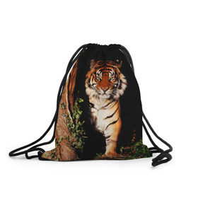 Рюкзак-мешок 3D с принтом Тигр в Новосибирске, 100% полиэстер | плотность ткани — 200 г/м2, размер — 35 х 45 см; лямки — толстые шнурки, застежка на шнуровке, без карманов и подкладки | Тематика изображения на принте: дикая кошка | лес | природа | тигр | хищник