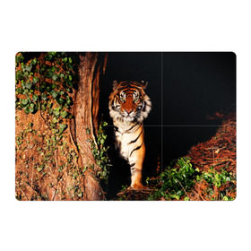 Магнитный плакат 3Х2 с принтом Тигр в Новосибирске, Полимерный материал с магнитным слоем | 6 деталей размером 9*9 см | Тематика изображения на принте: дикая кошка | лес | природа | тигр | хищник