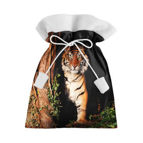 Подарочный 3D мешок с принтом Тигр в Новосибирске, 100% полиэстер | Размер: 29*39 см | Тематика изображения на принте: дикая кошка | лес | природа | тигр | хищник