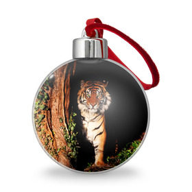 Ёлочный шар с принтом Тигр в Новосибирске, Пластик | Диаметр: 77 мм | Тематика изображения на принте: дикая кошка | лес | природа | тигр | хищник