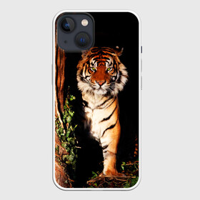 Чехол для iPhone 13 с принтом Тигр в Новосибирске,  |  | дикая кошка | лес | природа | тигр | хищник