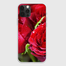 Чехол для iPhone 12 Pro Max с принтом Цветы в Новосибирске, Силикон |  | бабочки | весна | краски | лето | осень | розы | цветок | цветы