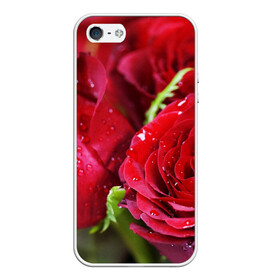 Чехол для iPhone 5/5S матовый с принтом Цветы в Новосибирске, Силикон | Область печати: задняя сторона чехла, без боковых панелей | бабочки | весна | краски | лето | осень | розы | цветок | цветы