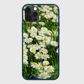 Чехол для iPhone 12 Pro Max с принтом Ромашки 2 в Новосибирске, Силикон |  | Тематика изображения на принте: лепестки | прикольные картинки | ромашки | цветочки | цветы