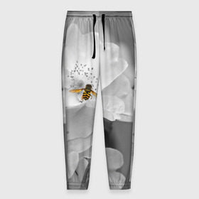 Мужские брюки 3D с принтом Пчела на цветах в Новосибирске, 100% полиэстер | манжеты по низу, эластичный пояс регулируется шнурком, по бокам два кармана без застежек, внутренняя часть кармана из мелкой сетки | лепестки | цветы