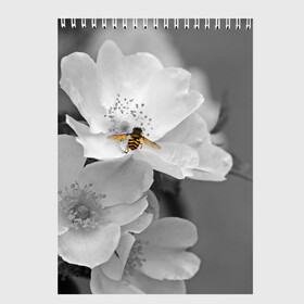 Скетчбук с принтом Пчела на цветах в Новосибирске, 100% бумага
 | 48 листов, плотность листов — 100 г/м2, плотность картонной обложки — 250 г/м2. Листы скреплены сверху удобной пружинной спиралью | Тематика изображения на принте: лепестки | цветы