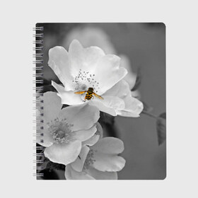 Тетрадь с принтом Пчела на цветах в Новосибирске, 100% бумага | 48 листов, плотность листов — 60 г/м2, плотность картонной обложки — 250 г/м2. Листы скреплены сбоку удобной пружинной спиралью. Уголки страниц и обложки скругленные. Цвет линий — светло-серый
 | Тематика изображения на принте: лепестки | цветы