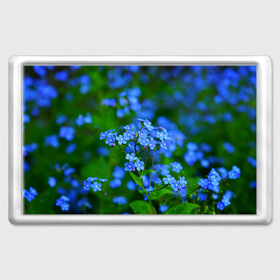 Магнит 45*70 с принтом Синие цветы в Новосибирске, Пластик | Размер: 78*52 мм; Размер печати: 70*45 | лепестки | прикольные картинки | цветочки | цветы
