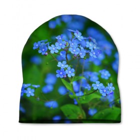 Шапка 3D с принтом Синие цветы в Новосибирске, 100% полиэстер | универсальный размер, печать по всей поверхности изделия | лепестки | прикольные картинки | цветочки | цветы