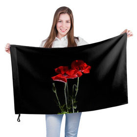 Флаг 3D с принтом Маки в Новосибирске, 100% полиэстер | плотность ткани — 95 г/м2, размер — 67 х 109 см. Принт наносится с одной стороны | background | black | flowers | poppies | poppy | red | wild | красные | мак | маки | полевые | фон | цветы | черный