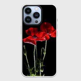 Чехол для iPhone 13 Pro с принтом Маки в Новосибирске,  |  | background | black | flowers | poppies | poppy | red | wild | красные | мак | маки | полевые | фон | цветы | черный