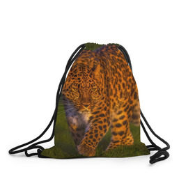 Рюкзак-мешок 3D с принтом Дальневосточный леопард в Новосибирске, 100% полиэстер | плотность ткани — 200 г/м2, размер — 35 х 45 см; лямки — толстые шнурки, застежка на шнуровке, без карманов и подкладки | 