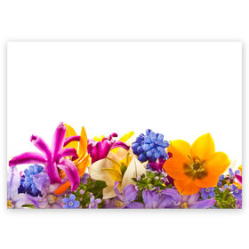 Поздравительная открытка с принтом Среди цветов в Новосибирске, 100% бумага | плотность бумаги 280 г/м2, матовая, на обратной стороне линовка и место для марки
 | аромат | букет | вазон | великолепие | краски | красота | куст | луг | полевые цветы | полянка | природа | растения | украшение | фауна | цветник | цветы