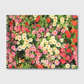 Альбом для рисования с принтом Весеннее настроение в Новосибирске, 100% бумага
 | матовая бумага, плотность 200 мг. | аромат | букет | вазон | великолепие | краски | красота | куст | луг | полевые цветы | полянка | природа | растения | розы | ромашки | тюльпаны | украшение | фауна | цветник | цветок | цветочек | цветы