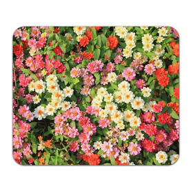 Коврик прямоугольный с принтом Весеннее настроение в Новосибирске, натуральный каучук | размер 230 х 185 мм; запечатка лицевой стороны | аромат | букет | вазон | великолепие | краски | красота | куст | луг | полевые цветы | полянка | природа | растения | розы | ромашки | тюльпаны | украшение | фауна | цветник | цветок | цветочек | цветы
