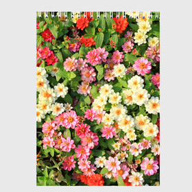 Скетчбук с принтом Весеннее настроение в Новосибирске, 100% бумага
 | 48 листов, плотность листов — 100 г/м2, плотность картонной обложки — 250 г/м2. Листы скреплены сверху удобной пружинной спиралью | аромат | букет | вазон | великолепие | краски | красота | куст | луг | полевые цветы | полянка | природа | растения | розы | ромашки | тюльпаны | украшение | фауна | цветник | цветок | цветочек | цветы