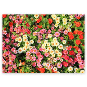 Поздравительная открытка с принтом Весеннее настроение в Новосибирске, 100% бумага | плотность бумаги 280 г/м2, матовая, на обратной стороне линовка и место для марки
 | аромат | букет | вазон | великолепие | краски | красота | куст | луг | полевые цветы | полянка | природа | растения | розы | ромашки | тюльпаны | украшение | фауна | цветник | цветок | цветочек | цветы