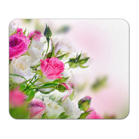 Коврик прямоугольный с принтом Алые розы в Новосибирске, натуральный каучук | размер 230 х 185 мм; запечатка лицевой стороны | Тематика изображения на принте: аромат | букет | вазон | великолепие | краски | красота | куст | нежность | природа | растения | розы | украшение | фауна | цветник | цветы