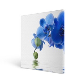 Холст квадратный с принтом Веточка орхидеи в Новосибирске, 100% ПВХ |  | Тематика изображения на принте: ветка | красота | нежность | орхидея | природа | растение | фауна | цветок | цветы