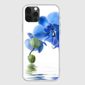 Чехол для iPhone 12 Pro Max с принтом Веточка орхидеи в Новосибирске, Силикон |  | ветка | красота | нежность | орхидея | природа | растение | фауна | цветок | цветы