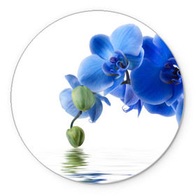 Коврик круглый с принтом Веточка орхидеи в Новосибирске, резина и полиэстер | круглая форма, изображение наносится на всю лицевую часть | ветка | красота | нежность | орхидея | природа | растение | фауна | цветок | цветы