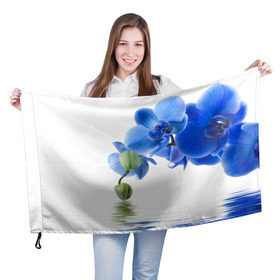 Флаг 3D с принтом Веточка орхидеи в Новосибирске, 100% полиэстер | плотность ткани — 95 г/м2, размер — 67 х 109 см. Принт наносится с одной стороны | ветка | красота | нежность | орхидея | природа | растение | фауна | цветок | цветы
