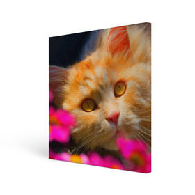 Холст квадратный с принтом Кошечка в Новосибирске, 100% ПВХ |  | животные | кот | кошка | милая | рыжий