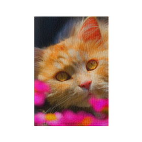 Обложка для паспорта матовая кожа с принтом Кошечка в Новосибирске, натуральная матовая кожа | размер 19,3 х 13,7 см; прозрачные пластиковые крепления | животные | кот | кошка | милая | рыжий