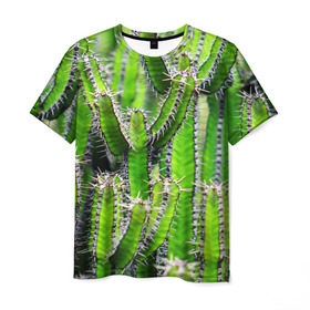 Мужская футболка 3D с принтом Кактус в Новосибирске, 100% полиэфир | прямой крой, круглый вырез горловины, длина до линии бедер | Тематика изображения на принте: кактус | колючки | прикольные картинки | природа | цветочки | цветы