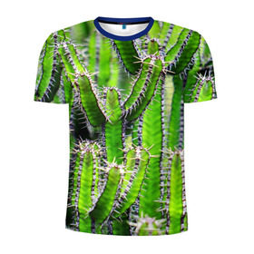 Мужская футболка 3D спортивная с принтом Кактус в Новосибирске, 100% полиэстер с улучшенными характеристиками | приталенный силуэт, круглая горловина, широкие плечи, сужается к линии бедра | кактус | колючки | прикольные картинки | природа | цветочки | цветы