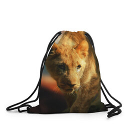 Рюкзак-мешок 3D с принтом Львица в Новосибирске, 100% полиэстер | плотность ткани — 200 г/м2, размер — 35 х 45 см; лямки — толстые шнурки, застежка на шнуровке, без карманов и подкладки | lion | голова животного | дикая кошка | кот | лев | цвет