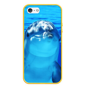 Чехол для iPhone 5/5S матовый с принтом Дельфин в Новосибирске, Силикон | Область печати: задняя сторона чехла, без боковых панелей | вода | дельфин | море | отдых | отпуск | подводный мир | туризм