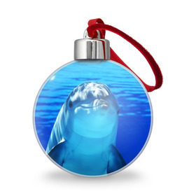 Ёлочный шар с принтом Дельфин в Новосибирске, Пластик | Диаметр: 77 мм | вода | дельфин | море | отдых | отпуск | подводный мир | туризм